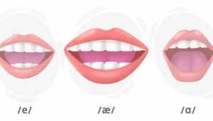 网络推广员薪资水平-网友赵德柱的博客